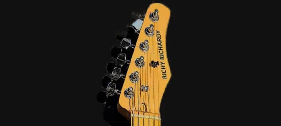 Pala de la guitarra azul con el logo Richy Richardy
